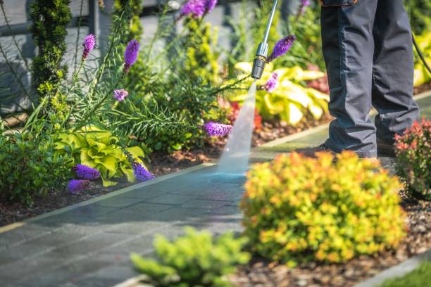 Best Parking Lot and Garage Cleaning  in Moa, UT